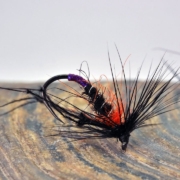 How-to-tie-the-hot-orange-thorax-hopper-dry-fly-For-fly-fishing-on-Stillwaters