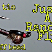Just-A-Random-Fly