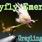 Mayfly-Emerger-Grayling-Candy