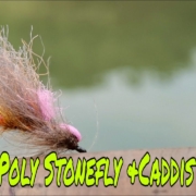 Poly-Wings-StoneflyampCaddis