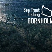 Sea-Trout-Fishing-Bornholm