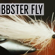 Squibbster-Snook-Fly-Tying-Tutorial