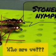 Stonefly-Nymph-rubber-legs