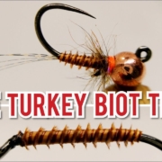 THE-TRICK-WITH-TURKEY-BIOT-NYMPH