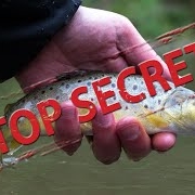 Catching-wild-Brown-Trout-on-a-Southern-chalk-Stream