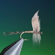 Fly-Tying-Mallard-slip-wings-with-Barry-Ord-Clarke