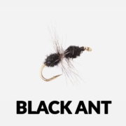 Fly-Tying-Tutorial-Black-Ant