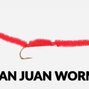 Fly-Tying-Tutorial-San-Juan-Worm