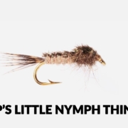 Fly-Tying-Tutorial-TPs-Little-Nymph-Thing