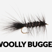 Fly-Tying-Tutorial-Woolly-Bugger