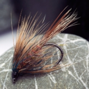 How-to-tie-a-Freestyle-Wet-Fly