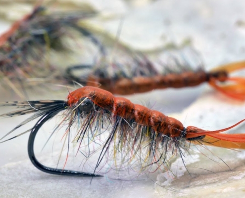 How-to-tie-a-simple-Shrimp-Pattern