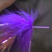 Purple-Flash-Fly
