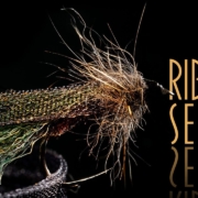 Ribbon-Sedge-Tying-and-fishing-a-simple-and-effective-dry-fly