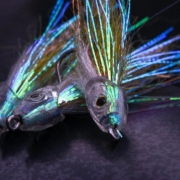 Spawn-Head-Baitfish