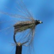 Beginner-Fly-Tying-a-Quill-Wing-Caddis-with-Jim-Misiura