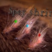 Fluebinding-Kystflue-Spey-shrimp-fly-tying