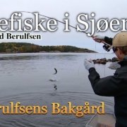 Fluefiske-i-sjoeen.-Episode-3-2020.-I-Berulfsens-Bakgaard.-Med-Fluefiskern-Eivind-Berulfsen