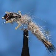Fly-Tying-a-Hares-Ear-Wiggle-Nymph-with-Jim-Misiura