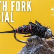 North-Fork-Special-Fly-Tying
