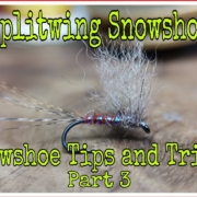 Splitwing-Snowshoe-part-three