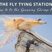 The-Fly-Tying-Station-The-Spawning-Shrimp