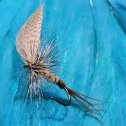 Tying-a-Grey-Rollover-Mayfly-with-Martyn-White