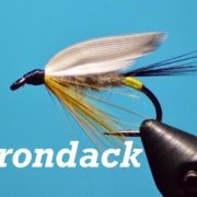Adirondack-Bergman-Wet-Fly