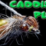 Caddis-PupaAndyPandyFly-Tying-for-Beginners