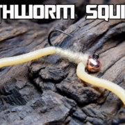 Earthworm-Squirmy-mmm-Worms-for-Dinner-AndyPandy