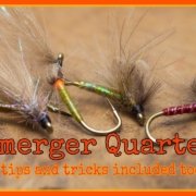Emerger-Quartet-few-tips-and-tricks-included-too