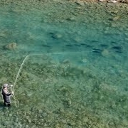 Fly-Fishing-For-the-BIGGEST-TROUT-in-The-World