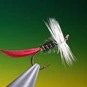 Fly-tying-Bristow39s-Bug-with-Barry-Ord-Clarke