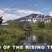Land-of-the-Rising-Trout