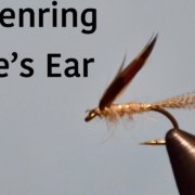 Leisenring-Hares-Ear