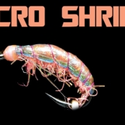 Micro-Shrimp-Small-is-Beautiful-AndyPandy