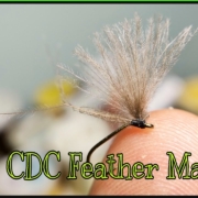 One-CDC-Feather-Mayfly