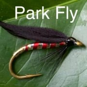 Park-Fly