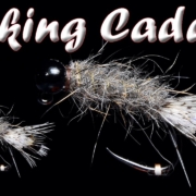 Peeking-CaddisCatch-Large-Fish-in-The-RifflesFly-Tying-for-Beginners