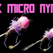 Pink-Quill-Micro-Nymph-But-its-SOOO-Small-AndyPandy