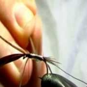 Tying-The-Jelly-Pheasant-Tail-by-Andy-Saunders