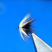 Tying-a-Loch-Ordie-Wet-Fly-tyed-by-Davie-McPhail
