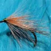 Tying-a-Pin-Fry-Palmer-with-Martyn-White