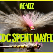 CDC-Spent-Mayfly
