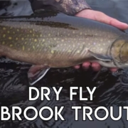 Crooks-Lake-Dry-Fly-Brook-Trout-Labrador-Fly-Fishing
