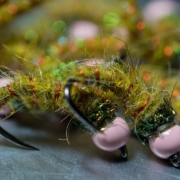 Fly-Tying-Andy-Bucklys-Pale-Pink-Caddis