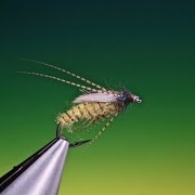 Fly-Tying-a-Solomon-caddis-pupa-variant-with-Barry-Ord-Clarke