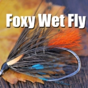 How-to-tie-a-Foxy-Wet-Fly-Freestyle-Irish-Wet-Fly