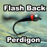 How-to-tie-the-Flash-Back-Perdigon-for-Euro-Nymphing