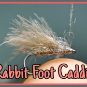 Rabbit-Foot-Caddis-viewer39s-idea